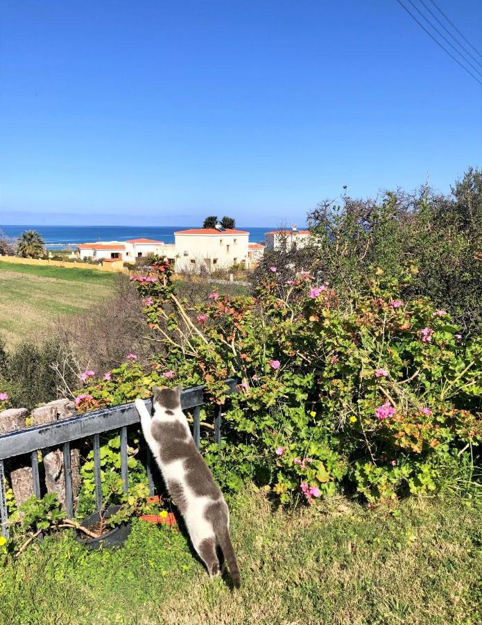 White House Studio With Sea View And Parking Πόλη Εξωτερικό φωτογραφία